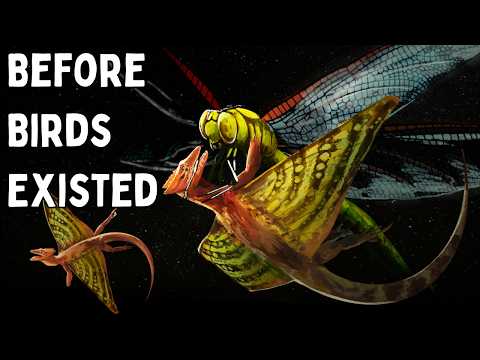 When Nightmares Ruled The Skies