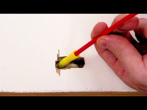 How to Fix a Hole in a Hollow Door