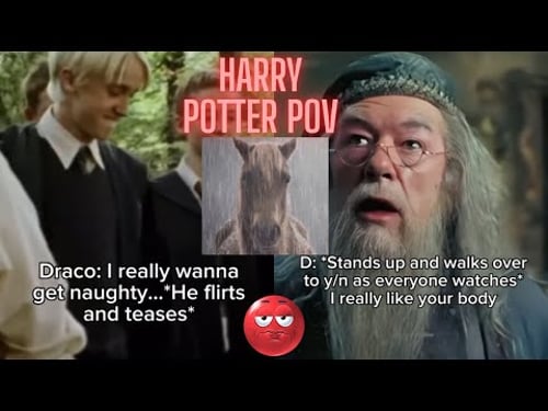 Harry Potter Y/N Tiktoks Needs To Be Stopped