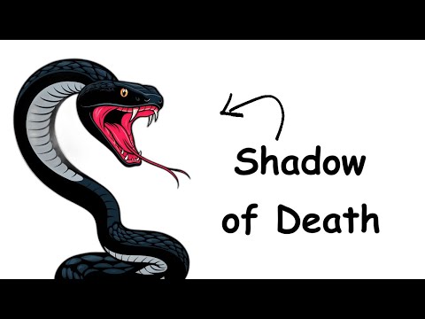 Why it sucks to be born as Black Mamba