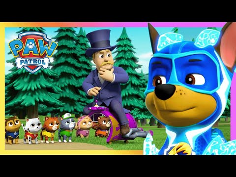 呼叫汪汪隊! 韓丁那市長跟可愛小貓咪的秘密計畫🧐 - PAW Patrol 汪汪隊立大功 - 兒童卡通