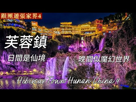 20251023 Travel with Hong Kong to Zhangjiajie, Hibiscus Town is unexpectedly beautiful, hanging o...