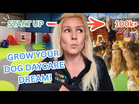 How I Started My Dog Daycare From Scratch: 9 Years, Endless Dogs & What I’ve Learned