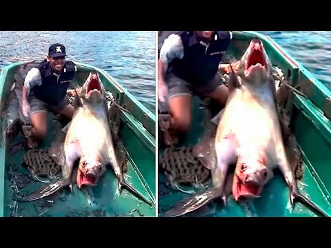 Wenn Dieses WESEN im FLUSS nicht Gefilmt Worden Wäre, Würde es Niemand Glauben