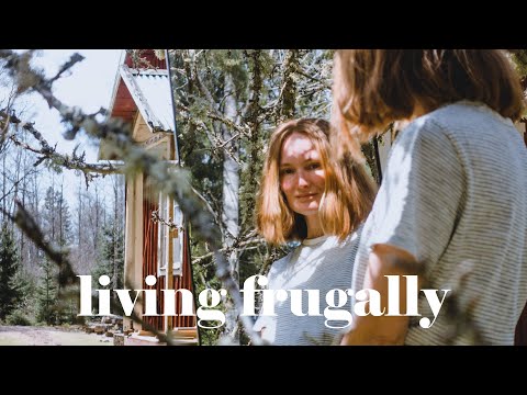 How I Afford To Live In The Woods and Renovate A Cabin (Story 15)