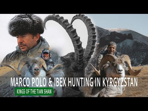 Marco Polo & Ibex Hunting in Kyrgyzstan - Kings of the Tien Shan | Camino Real Hunting Consultants