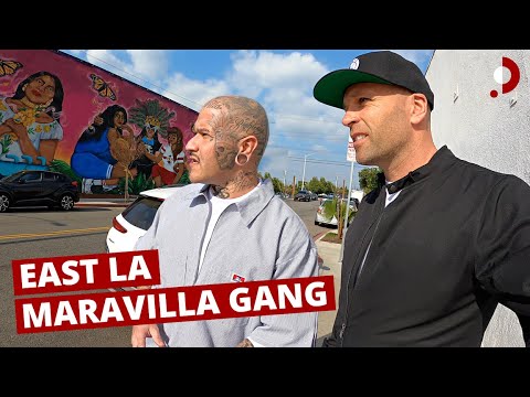East LA Gang Member - 3rd Generation Maravilla ๐บ๐ธ ๐ฒ๐ฝ