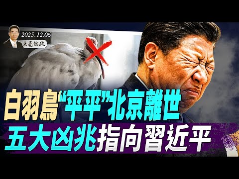 白羽鳥「平平」離世,五大凶兆指向習;香港國安署「以災亂港」,藉機整肅媒體;1.8萬條規則綁住手腳,新冷戰需新思維 (天亮論政第1819集 20251206)