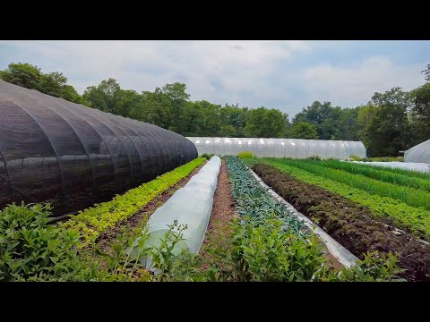 Lessons from 30 Years of No-Till | Four Winds Farm