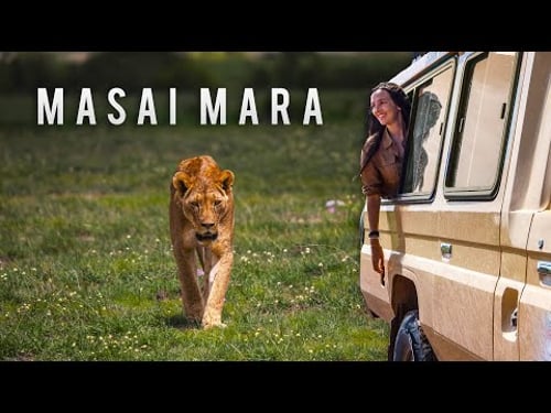 Is a Masai Mara Safari Worth the Hype? (Honest Opinion)