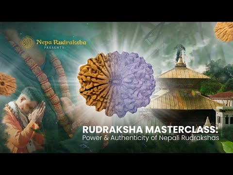 Rudraksha Masterclass : The Most In-Depth Guide to the Power & Authenticity of Nepali Rudraksha