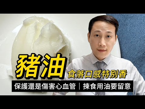 豬油,對心血管有益還是有害?為何豬油特別香?家常煮食應如何選擇合適的食用油?