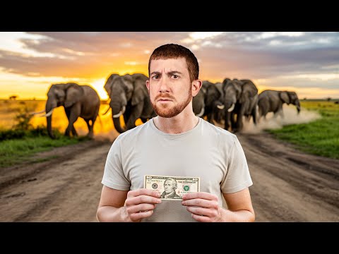 What Can $10 Get in TANZANIA? (Wild Experience)