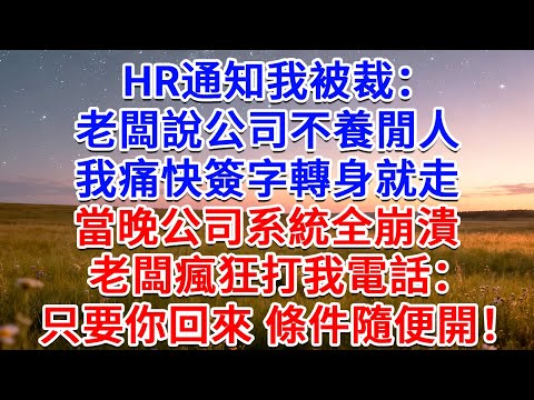 HR通知我被裁:老闆說公司不養閒人!我痛快簽字轉身就走,當晚公司系統全崩潰,老闆瘋狂打我電話:只要你回來 條件隨便開!#為人處世 #生活經驗 #情感故事 #故事 #小說 #戀愛 #情感 #婚姻