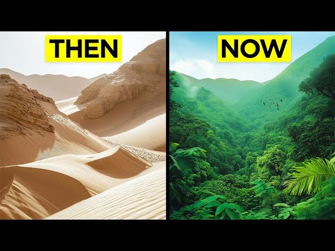 When The Desert Gets Turned Into A Rainforest