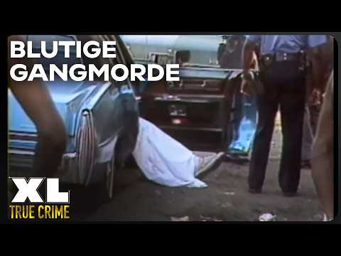USA 1991: Tödliche Gangs und brutale Mafiabosse | The FBI Files | XL True Crime Doku