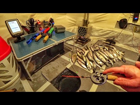 ПОЙМАЛ ЦЕЛУЮ КУЧУ РИПУСА! Ловля рипуса на озере Увильды. Первый лед.