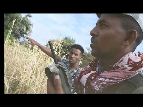 ኣብዚ ቅነ ካብ ዝተፈፀሙ ታሪኻት TDF ዓድዋ እንዳ ማርያም ሸዊቶ