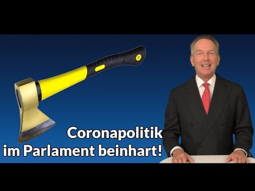 Zwischen Corona-Enquete und U-Ausschuss | Prof. Homburg