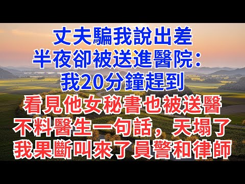丈夫騙我說出差,半夜卻被送進醫院:我20分鐘趕到,看見他女秘書也被送醫,不料醫生一句話,天塌了!我果斷叫來了員警和律師!#慧心家事#為人處世#生活經驗#情感故事#戀愛#情感#家庭关系#婚姻#出轨