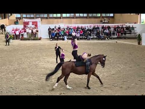 SM Voltige 2025 Fehraltdorf - Bietenholz