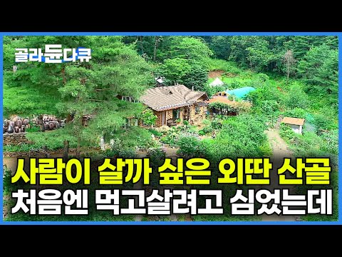 도무지 사람이 살 것 같지 않은 외딴 산골에서 그저 자급자족 먹고살려고 5,000평 노지에 하나 둘 심었을 뿐인데┃어느새 10년째 부부가 만든 천상의 화원┃한국기행┃#골라듄다큐