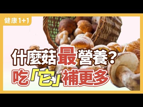 什麼菇最營養? 吃「它」補更多 | 健康1+1 · 直播精選