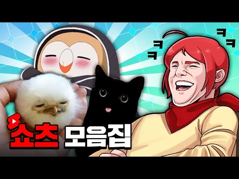 재미있는 숏츠 모음집 시즌.1