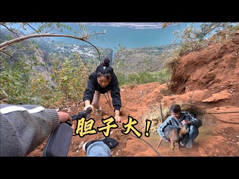 Legs went weak! A mountain couple rushed over a cliff to find mates for their ewes; one wrong ste...