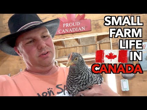 The Ups & Downs of Building a Small Farm in Canada
