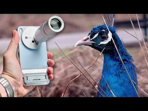 Vivo X300 Zeiss Teleconverter Real-World Test: Can it compete with the Pro & Ultra?