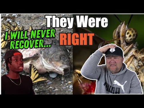 Why You Owe People Afraid of Butterflies an Apology | Casual Geographic | History Teacher Reacts