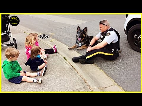 50 Random Acts of Kindness That Will Make You Cry Tears of Joy!😭! Best Moments of 2025 #69