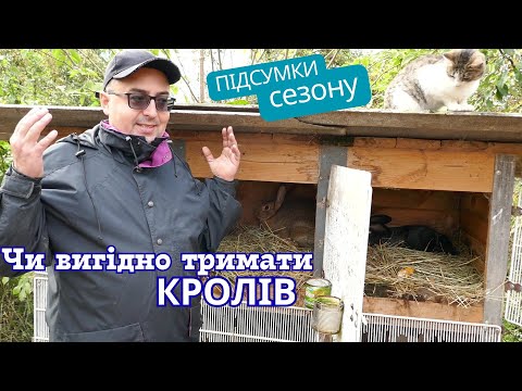 Is it profitable to keep rabbits? Calculating costs and income at the end of the season!