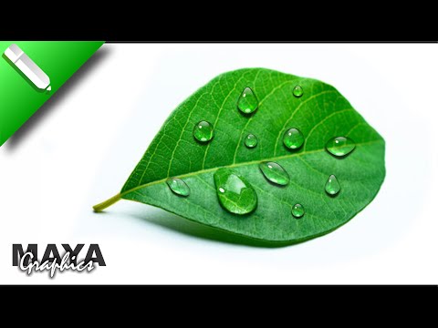 Water Drop Effect in Corel draw | How to Create Water Drop | Coreldraw tutorial | Maya Graphics