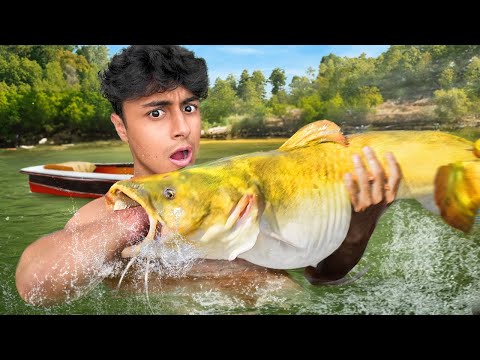 Catching Catfish With My Bare Hands
