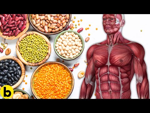 Eat Beans And Legumes Every Day And See What Happens To Your Body