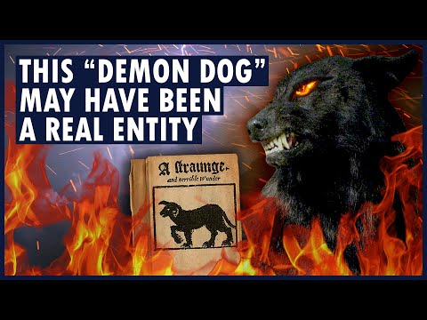 Scientists think there's truth in this demon dog folklore. | THE BLACK DOG OF BUNGAY