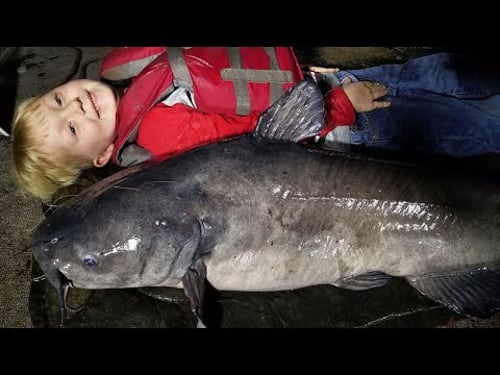 5 yr old Pro Teaches How to Catch Catfish