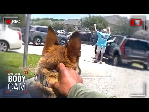 Florida Cops Hunt Down Predators in Wild Sting Operation