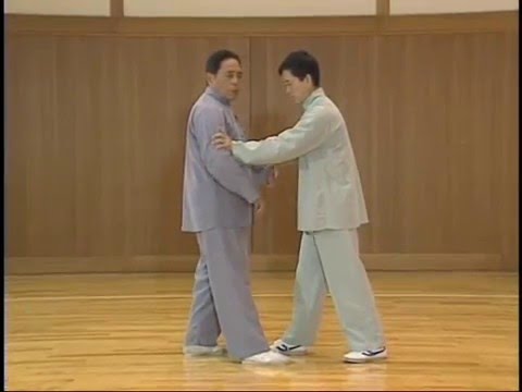 馮志強推手八法對練