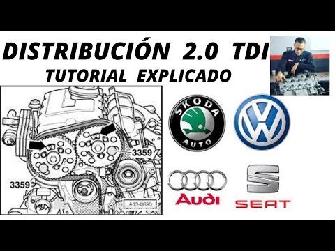 HOW TO PROPERLY CHANGE TIMING BELT 2.0 Tdi TUTORIAL,🆗Passat, VAG VW SEAT AUDI SKODA TIMING BELT