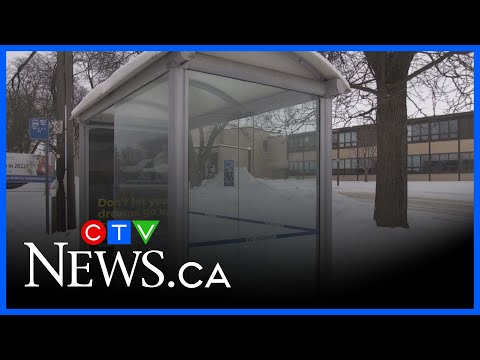 Free bus pass pilot program update