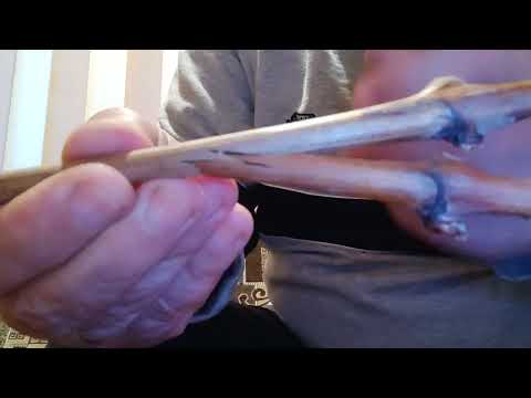 Altoirea in semicopulatie perfecționată dublă fără să tăiem coarda principală pridere garantată 💯%