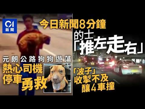 今日新聞|的士「推左走右」 保時捷撞前十米|元朗公路狗狗遊蕩 熱心司機停車勇救|01新聞|的士|保時捷|元朗公路|狗狗|好人好事|日元|眾安大廈|美國|2026年3月29日 #hongkongnews