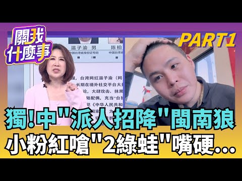 有去無回? 中國招手.閩南狼"迷途知返"...羔羊祭旗?中國通緝.小粉紅恐嚇? 斬殺行動...鎖定閩南狼住家?|【關我什麼事PART1】陳斐娟 主持|20251114 關我什麼事