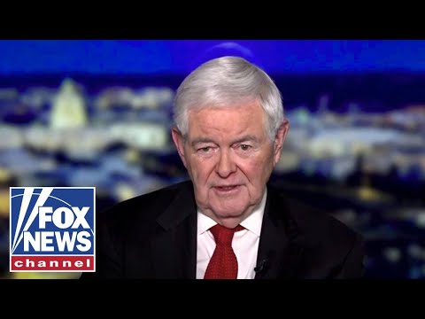 Newt Gingrich: I would be 'shocked' if this happens...