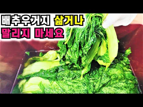 배추우거지 이렇게 보관하면 1년을 푸르게 먹을 수 있어요! 우거지 삶거나 말리지 마세요💚우거지 1년 보관법과 요리