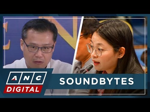 Gatchalian asks OSG to fast-track case vs. Alice Guo | ANC