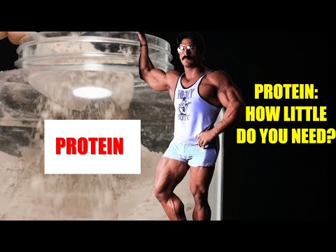 MIKE MENTZER: PROTEIN - HOW LITTLE DO YOU NEED? #mikementzer #protein #gym #motivation